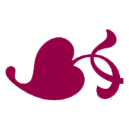 Logo AnnJanuarius.be